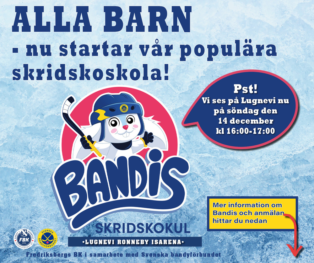 Bandis skridskoskola